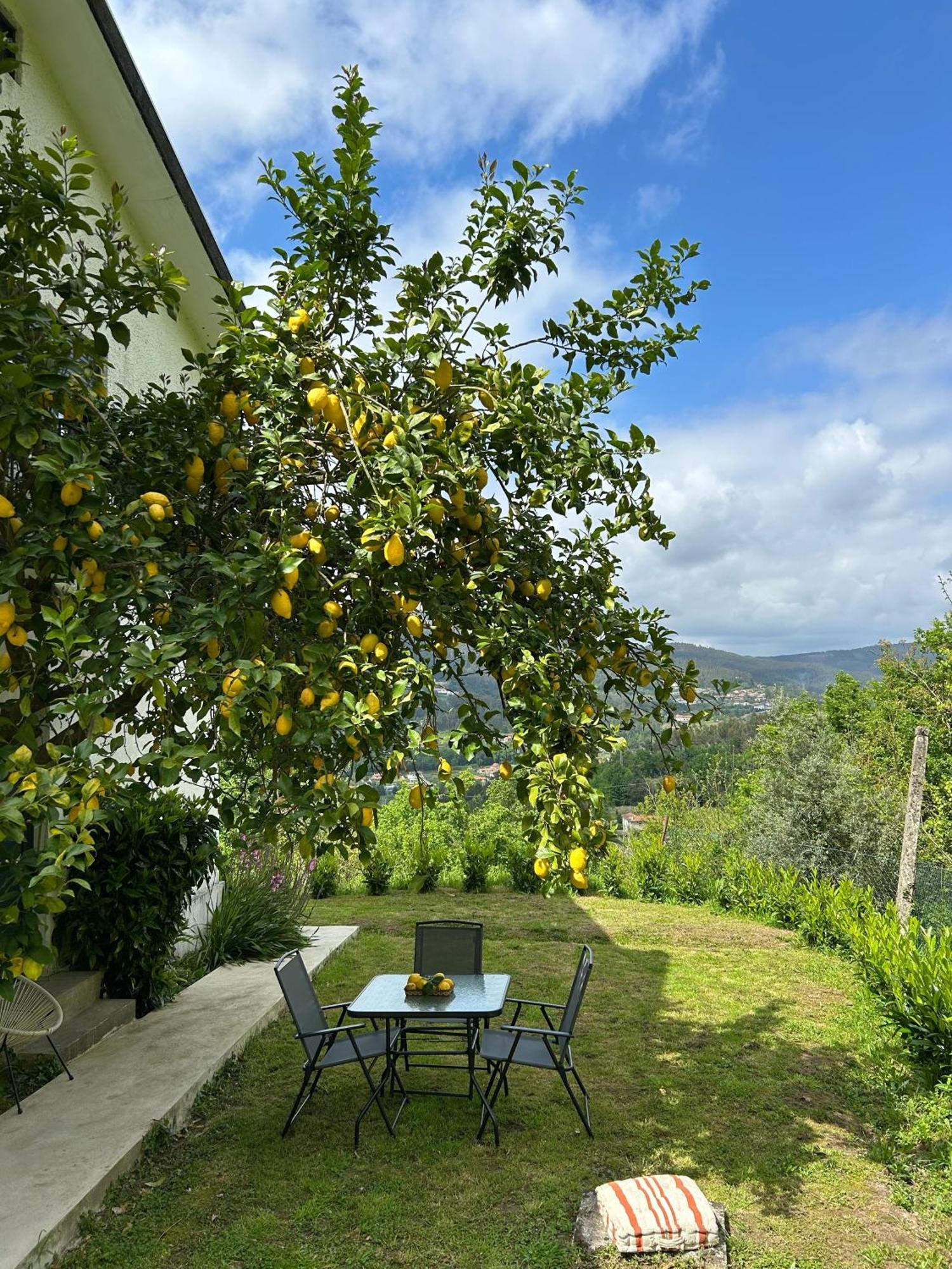 Casa De Fraguas Villa Arouca Exteriör bild